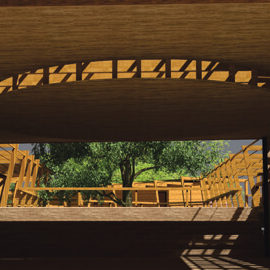 UNIVERSIDAD- EL TIGRE