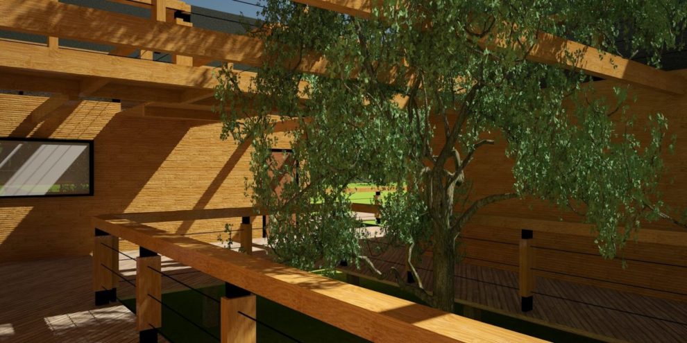 UNIVERSIDAD- EL TIGRE